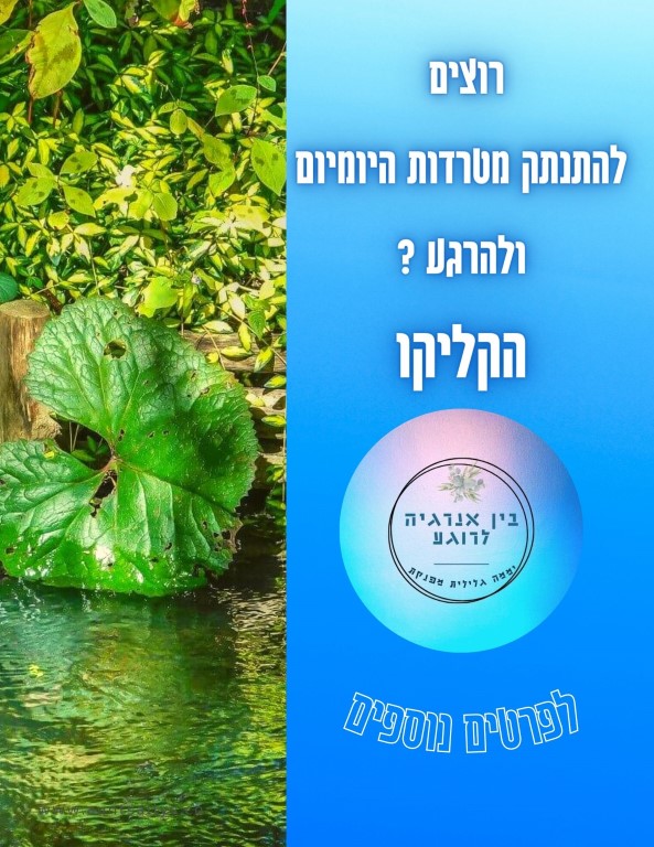 באנר אנרגיה