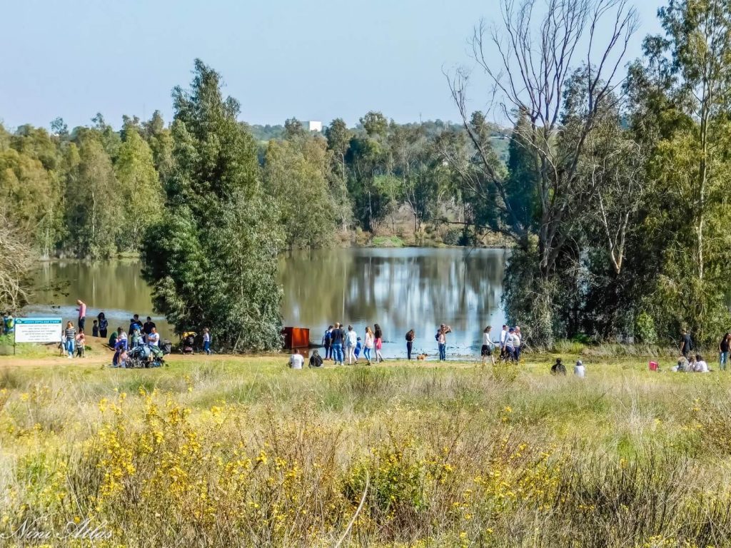 שלולית החורף