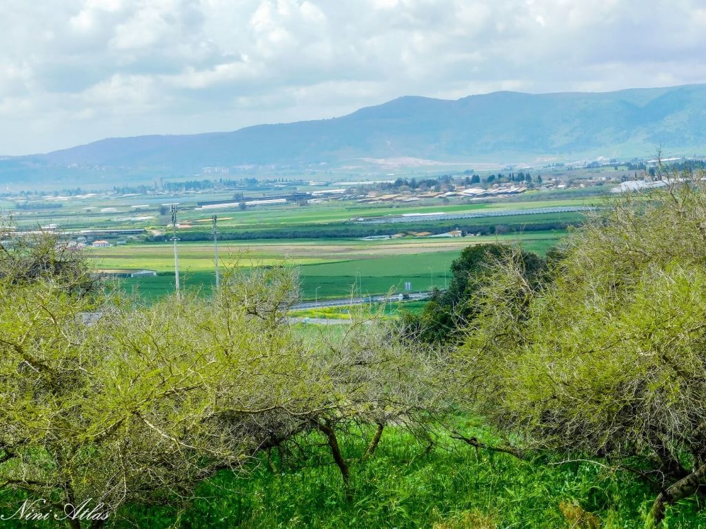 עמק יזרעאל