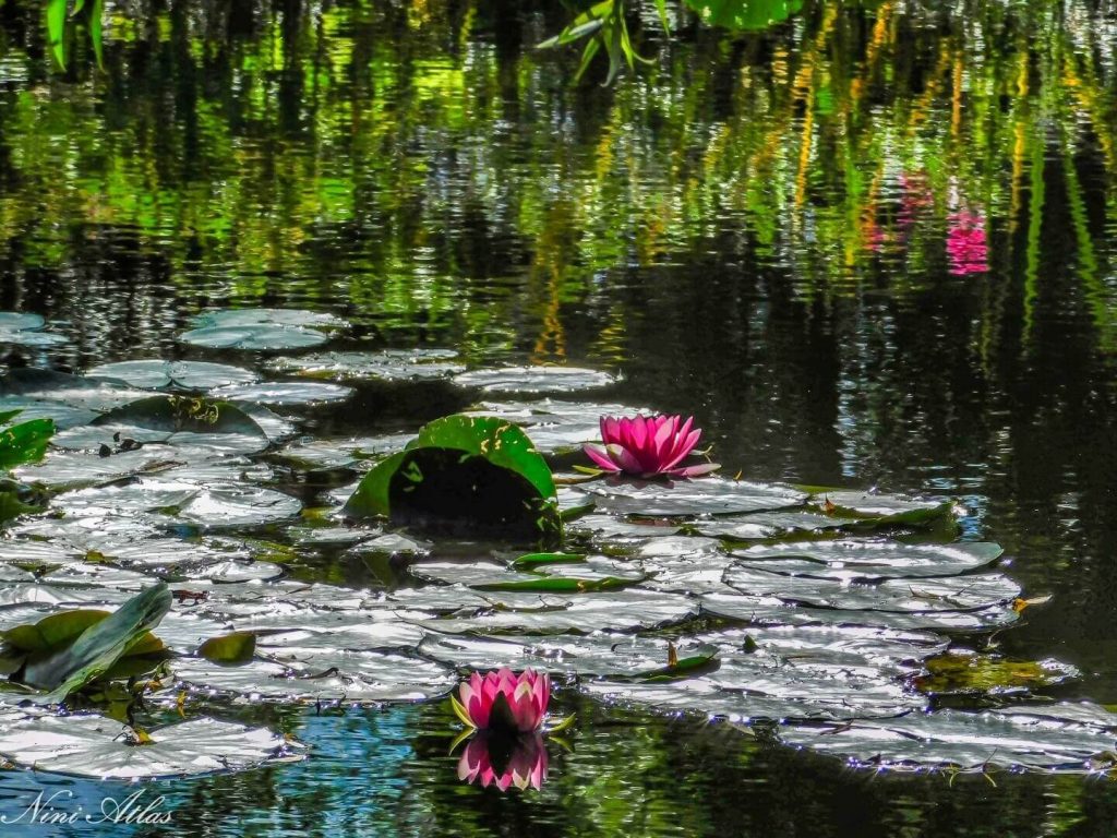Giverny