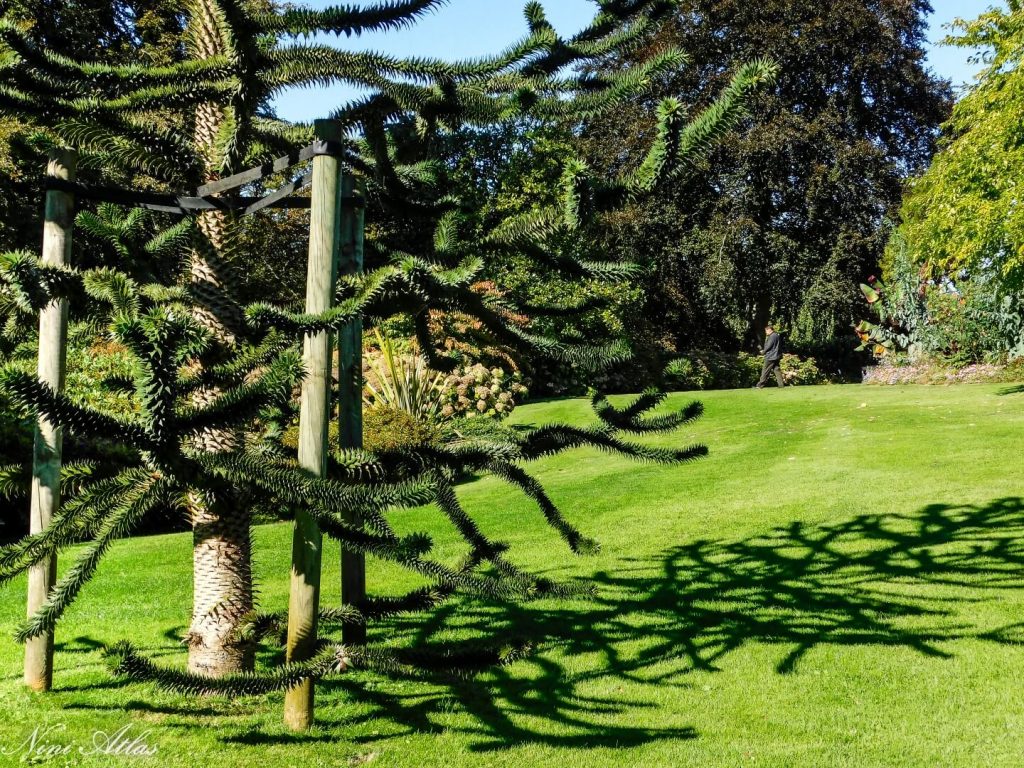 JARDIN DES PLANTES