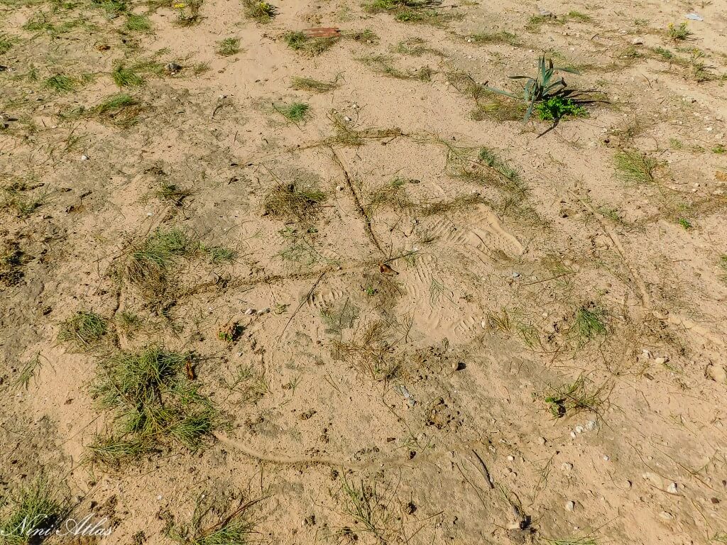 משחקים "ארצות" בחול הלח. ניני, הייתה כאן