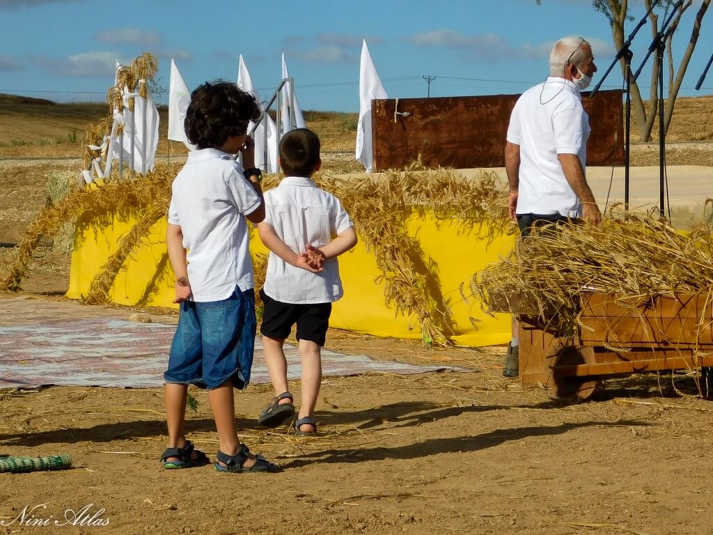 שבועות בשובל