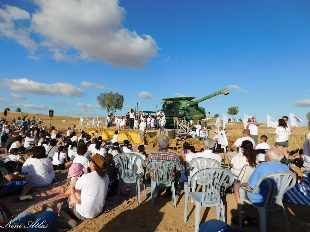 שבועות בשובל