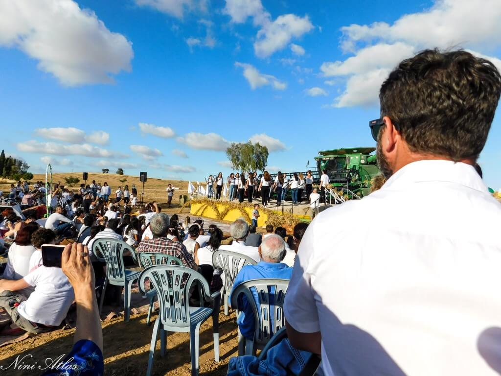 שבועות בשובל