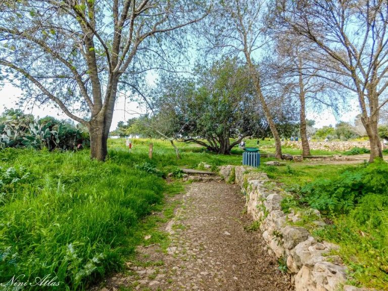 בית מרחץ, בריכות אגירה, נקבת עין צור ששובבה את נפשנו ואת נפש הילדים שבמקום ועוד ועוד. את מה שראינו כולל הפרחים שפגשנו - אתן לכם להכיר בתמונות שצילמתי במקום.  אם תרצו לדעת יותר (אני ממליצה בחום) תכלו להוריד את דף ההסברים המרתק ולקחת אתכם.