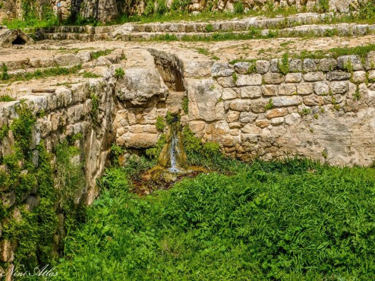 בית מרחץ, בריכות אגירה, נקבת עין צור ששובבה את נפשנו ואת נפש הילדים שבמקום ועוד ועוד. את מה שראינו כולל הפרחים שפגשנו - אתן לכם להכיר בתמונות שצילמתי במקום.  אם תרצו לדעת יותר (אני ממליצה בחום) תכלו להוריד את דף ההסברים המרתק ולקחת אתכם.