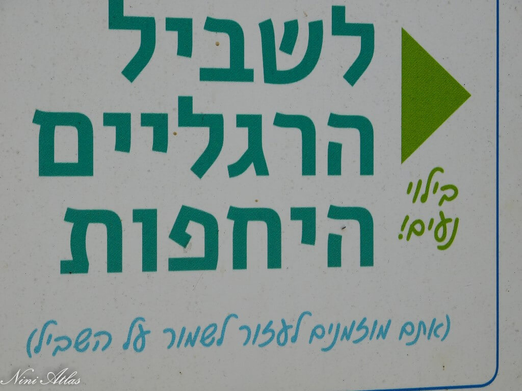 שביל הרגלים היחפות