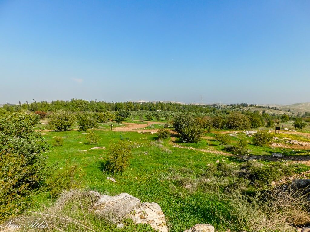 תצפיות יער שהם