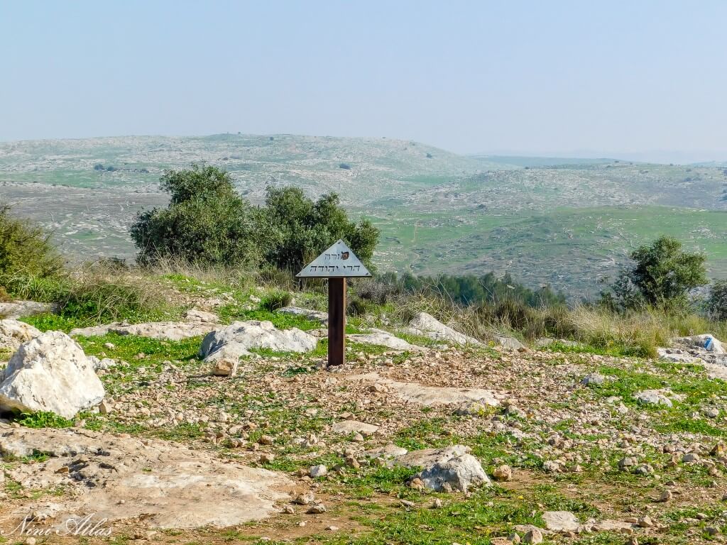 תצפיות יער שהם