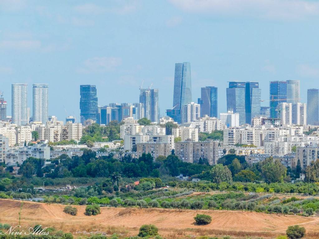 תצפיות פארק אריאל שרון