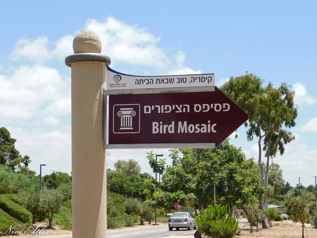 שלט פסיפס הציפורים