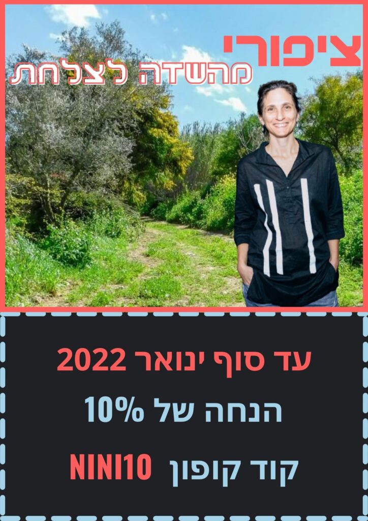 ויקיקופון