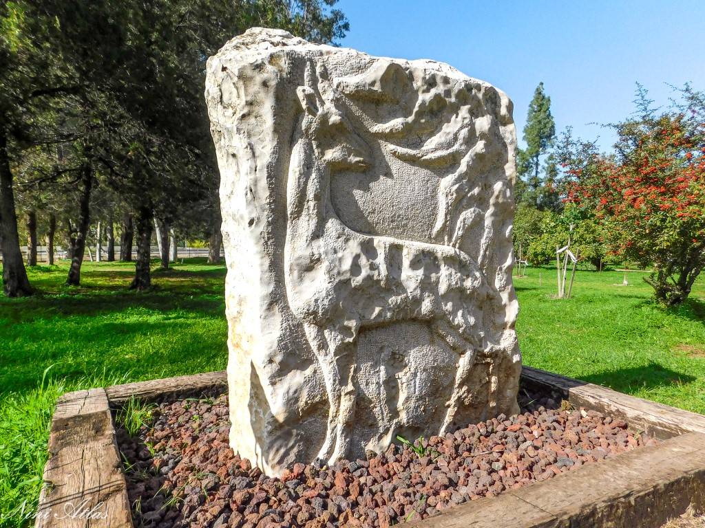 הפסל של צבי (הירש) טברדז'בו