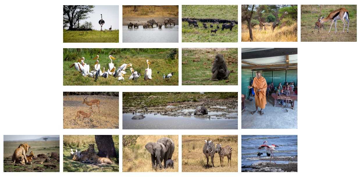 גלריה מסכמת - טנזניה